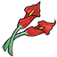Survival Red Calla Lilies