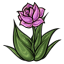 Faded Purple Rose