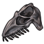 Plesiosaurus Skull
