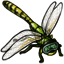 Dragonfly Insectoid Goggles