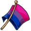 Larger Bi Pride Flag