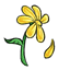 Survival Yellow Daisy