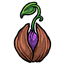 Purple Lovely Seed Pod