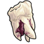 Yanked Tooth With Purple Flesh