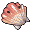 Delicate Painted Seashell