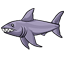 Rubber Shark