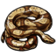 Model Red-Tailed Boa