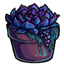 item_succulent_purple.gif