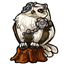 Great White Owl Companion