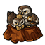 Diminutive Owl Companions