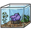 Aquarium Betta