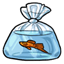 Bagged Swordtail Fish