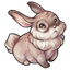 Bespectacled Bunny