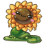 Sunflower Blub