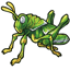 Bright Green Grasshopper