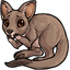 Guilty Wallaby
