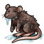 Soggy Rat