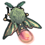 Lantern Moth
