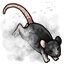 Mischievous Rat