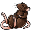 Pantry Rat