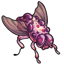 Purple Pus Fruit Fly