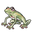 Shadowglen Glass Frog