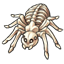 Skeletal Spider