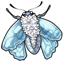 Snow Crystal Moth