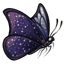 Starwing Butterfly