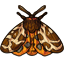 Tigrean Moth