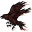 Tripedal Crow