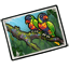 Visit Lorikeet Villa Postcard