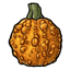 Warted Orange Gourd