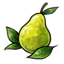 Tiny Pear