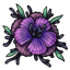 Midnight Delphi Bloom