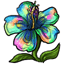 plant_multicolor_hibiscus.gif