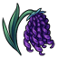Midnight Fairy Ringlets