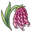 Pink Fairy Ringlets