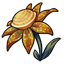 Golden Stellar Bloom