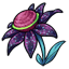 Rift Stellar Bloom