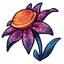 Rubicund Stellar Bloom