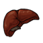 Anatomically Correct Liver Plushie