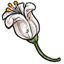 White Lily Plushie