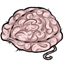 Squishy Brain Plushie