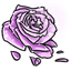 Lavender Roseband