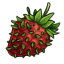 Sprouting Strawberry