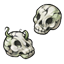 Skull Ivy Seeds