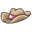 Shimmer Cowgirl Hat