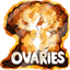 Ovaries Explosion Sticker