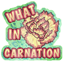 What in Carnation Sticker